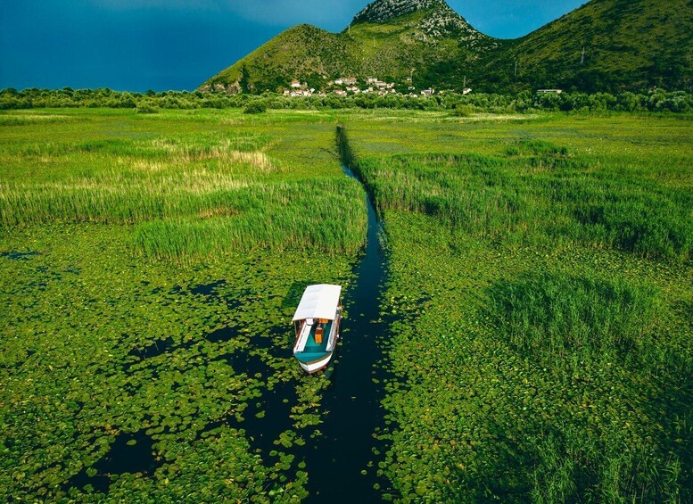 Picture 16 for Activity Virpazar: Private Guided Lake Skadar Boat Tour