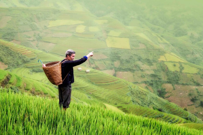 From Ubud: Evening Firefly Tour in Taro Village