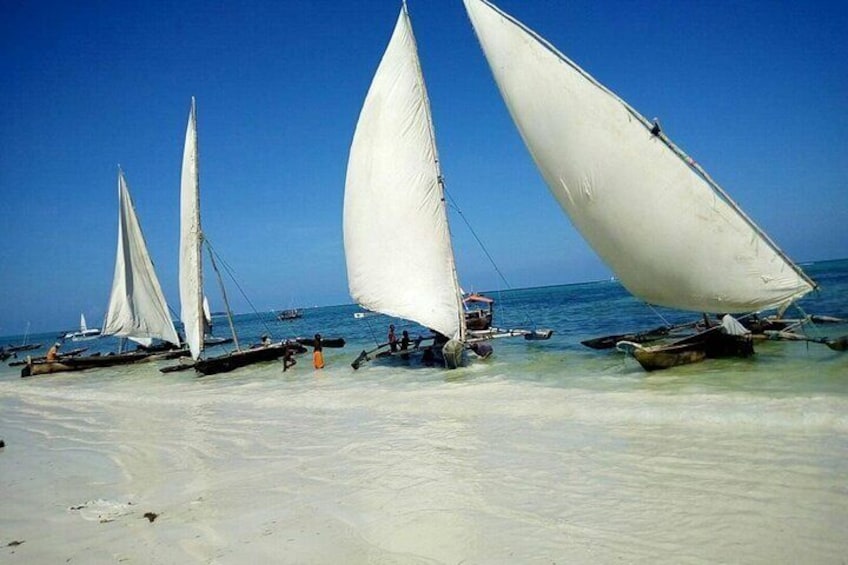 Zanzibar Full Day Mnemba Island, Nungwi and Kendwa Beach Tour