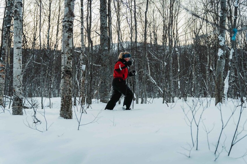 Picture 2 for Activity Snowshoeing Adventure to the Enchanting Frozen Waterfall