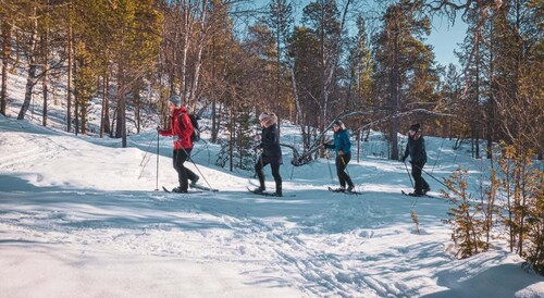 Snowshoeing Adventure to the Enchanting Frozen Waterfall