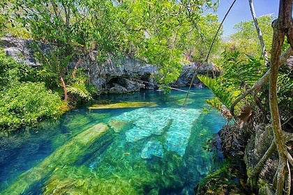 Private Tour to 3 Cenotes in the Riviera Maya with Lunch