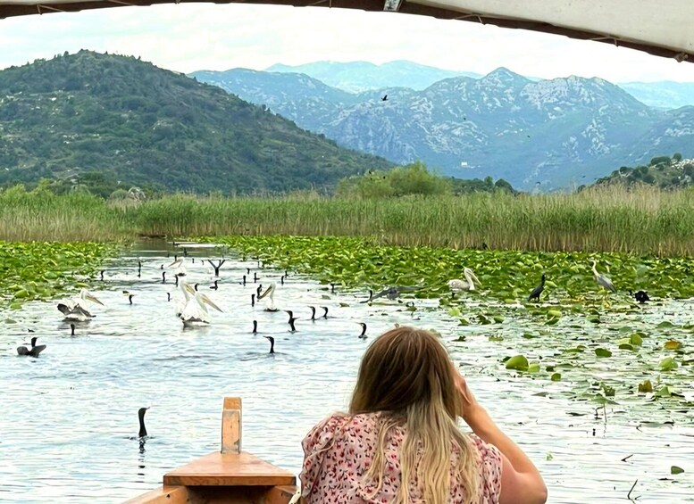 Picture 4 for Activity Lake Skadar: Early-morning Birdwatching and Photography Tour