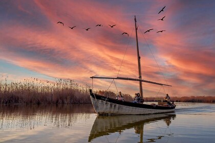 Vanuit Valencia: Oude binnenstad van Cullera en natuurpark Albufera