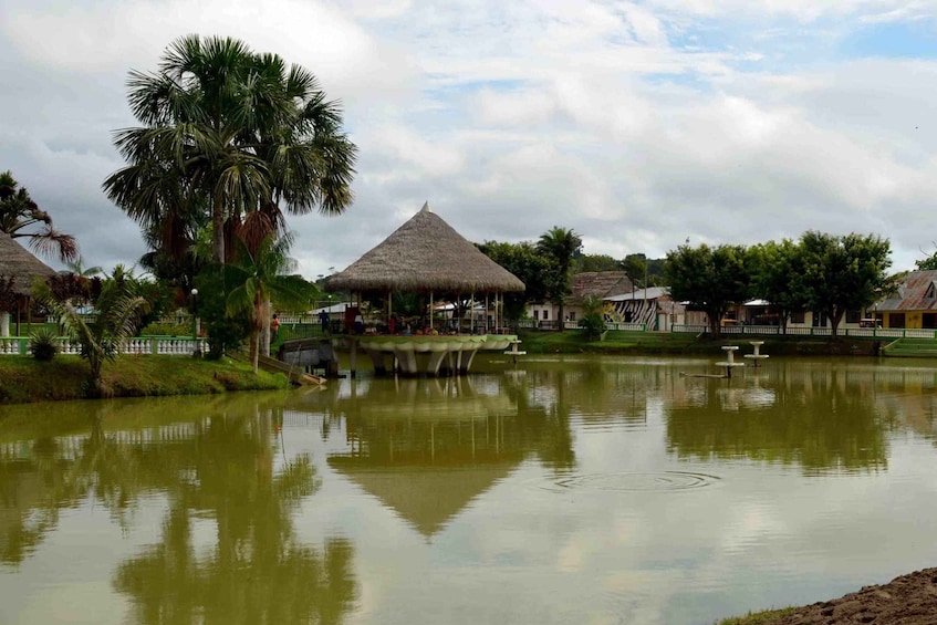 Picture 1 for Activity From Iquitos || Tour to Nauta and source of the Amazon River