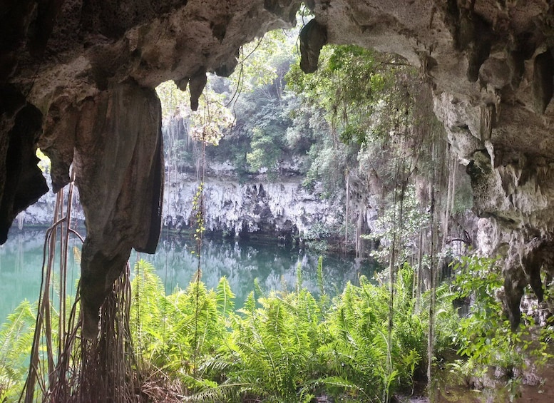 Picture 11 for Activity From Puerto Plata: Santo Domingo Complete Visit