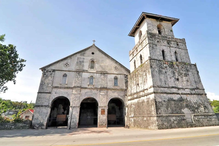 Picture 2 for Activity From Cebu: Bohol Countryside Private Tour with Buffet Lunch