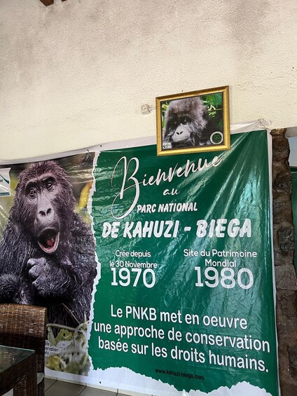 Picture 49 for Activity 4 Day Congo (DRC) Lowland Gorilla Tracking from Kgl Rwanda