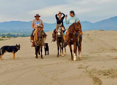 Horseback riding, Penguins, Winery, Alpacas & Cowboy BBQ
