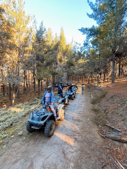 Picture 1 for Activity Knysna: Guided Quad Bike Tour in the Forest