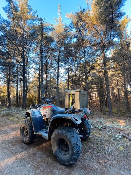 Picture 5 for Activity Knysna: Guided Quad Bike Tour in the Forest