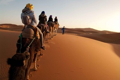 Depuis Agadir/Taghazout : dunes de sable du Sahara avec transfert