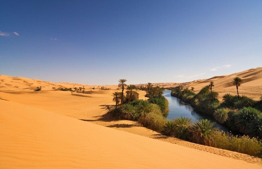 Picture 8 for Activity From Agadir/Taghazout: Sahara Sand Dunes with Transfer