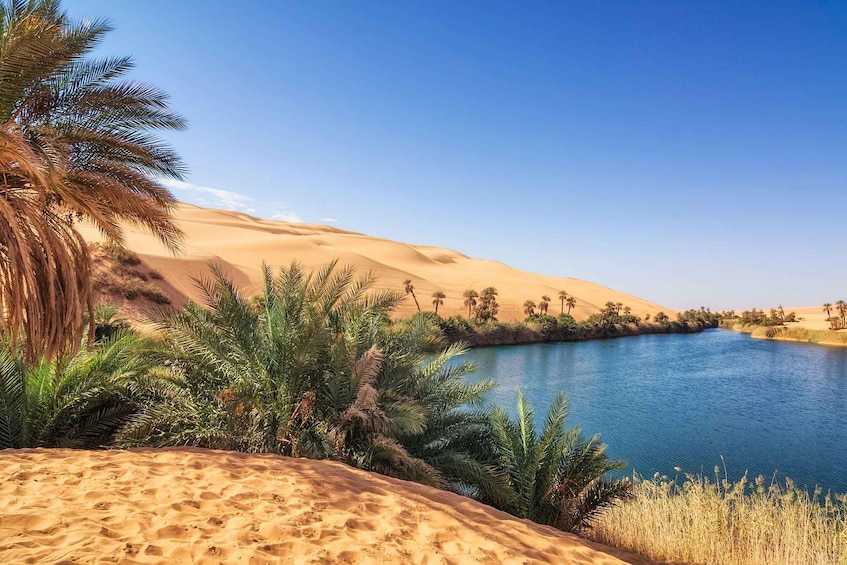 Picture 1 for Activity From Agadir/Taghazout: Sahara Sand Dunes with Transfer