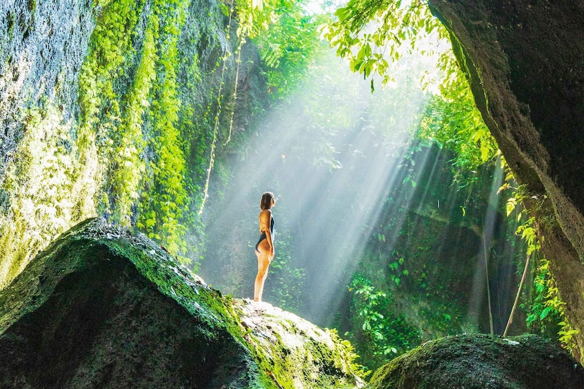 Picture 2 for Activity Ubud: Spectacular Waterfalls Tour