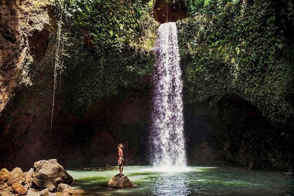 Ubud: Ubud: Spectacular Waterfalls Tour