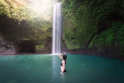 Ubud: Spectaculaire Watervallen Tour