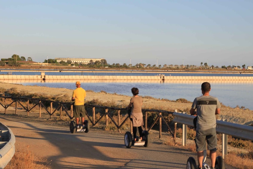 Picture 4 for Activity Cagliari: Molentargius Natural Park Segway Tour with Coffee