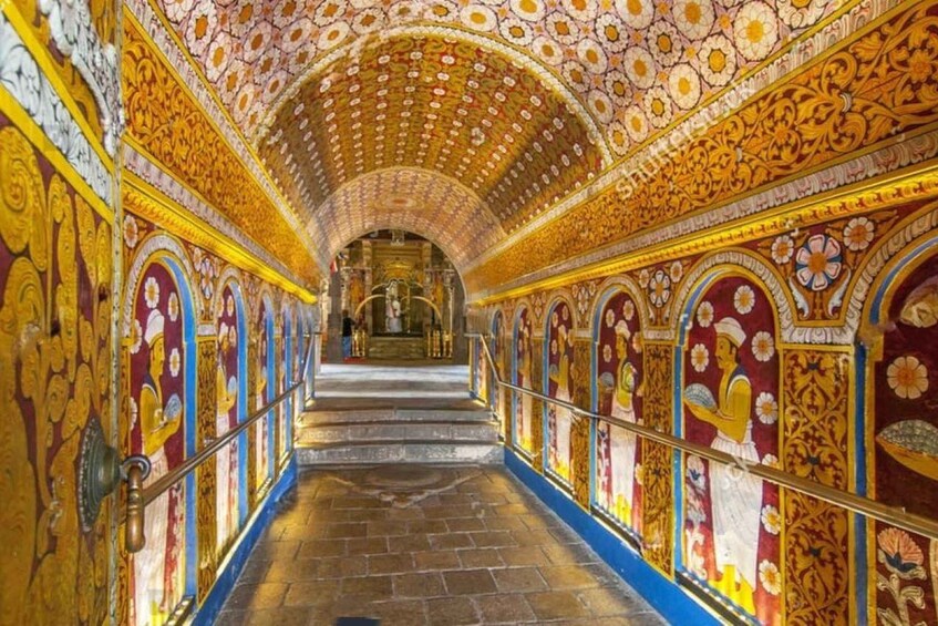 Picture 19 for Activity From Colombo: Kandy, Pinnawala and Tea Factory Full-Day Trip