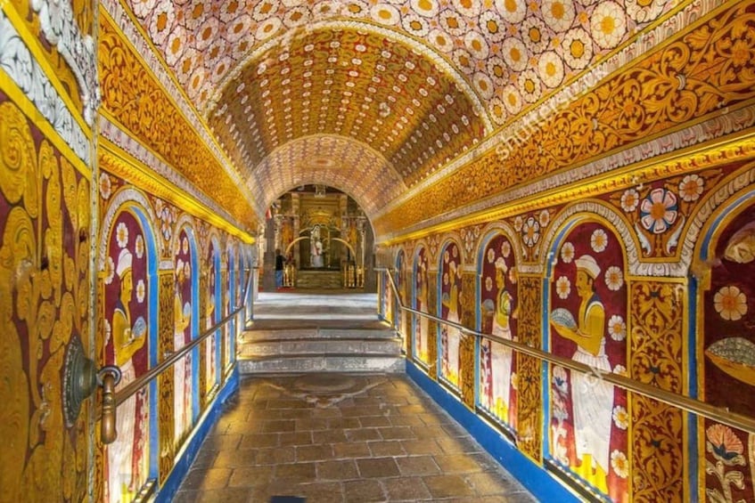 Picture 19 for Activity From Colombo: Kandy, Pinnawala and Tea Factory Full-Day Trip