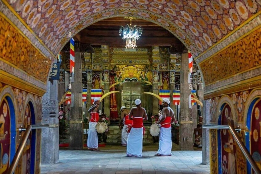 Picture 20 for Activity From Colombo: Kandy, Pinnawala and Tea Factory Full-Day Trip