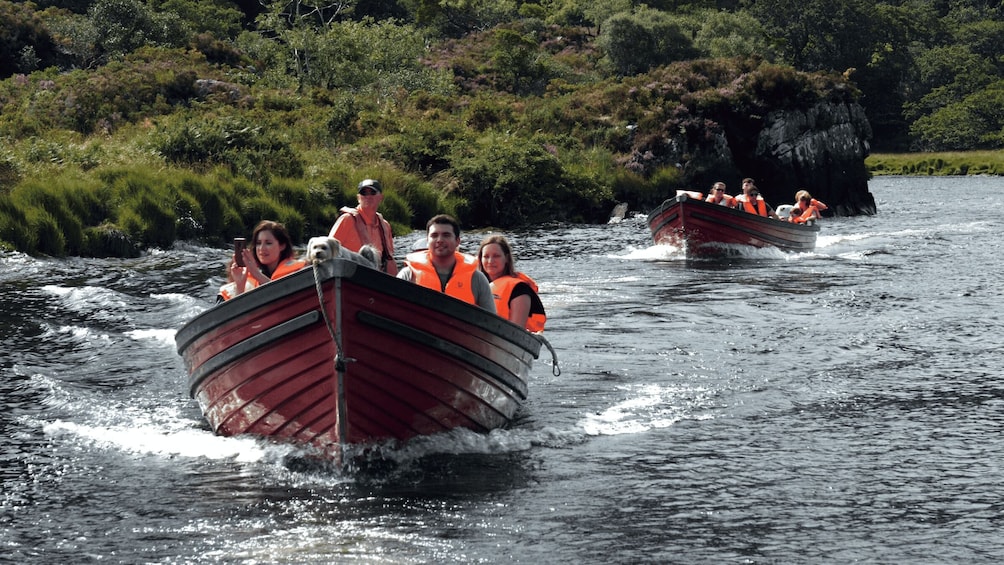 Picture 4 for Activity Killarney: Lakes of Killarney Boat Tour with Transfer