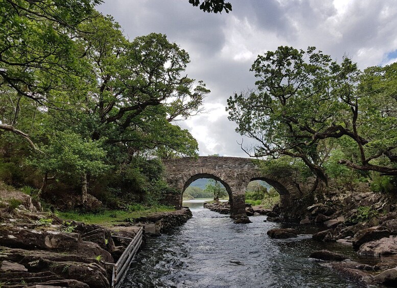 Picture 7 for Activity Killarney: Lakes of Killarney Boat Tour with Transfer