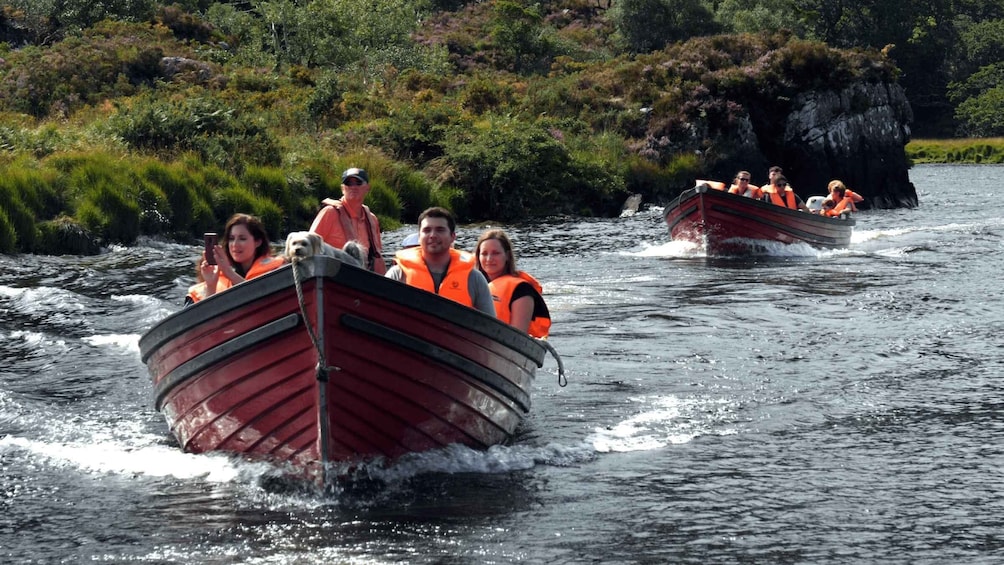 Picture 4 for Activity Killarney: Lakes of Killarney Boat Tour with Transfer