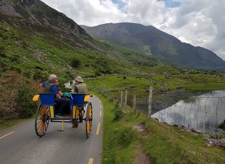 Picture 6 for Activity Killarney: Lakes of Killarney Boat Tour with Transfer