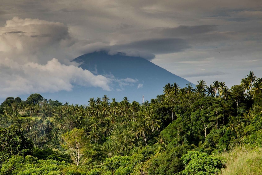 Picture 7 for Activity Bali: Besakih Temple & Lempuyang Temple Gates of Heaven Tour