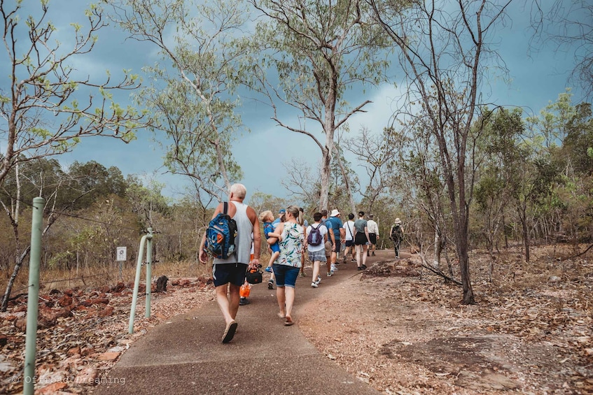 Picture 2 for Activity Darwin: Litchfield Day Tour and Private Crocodile Cruise