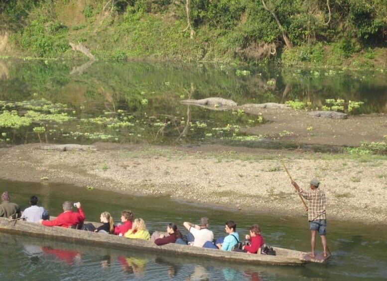 Picture 52 for Activity Pokhara: 3-Day Culture Wildlife and Jungle Safari Experience