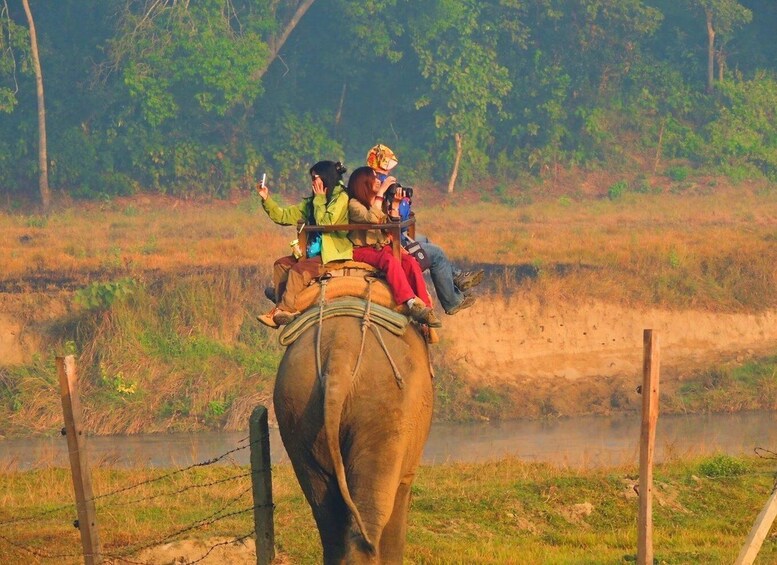 Picture 2 for Activity Pokhara: 3-Day Culture Wildlife and Jungle Safari Experience