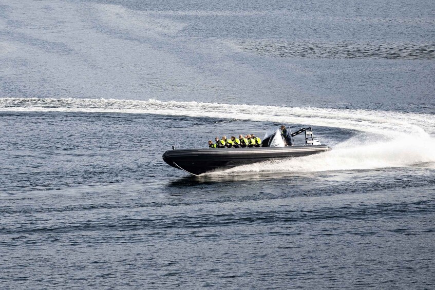 Picture 17 for Activity Ulvik: Hardangerfjord and Osafjord RIB Tour