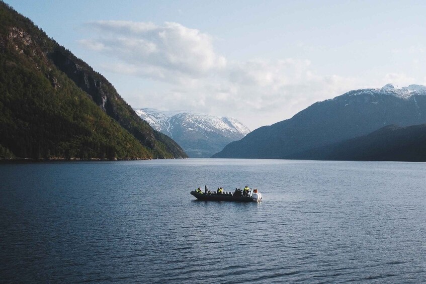 Picture 11 for Activity Ulvik: Hardangerfjord and Osafjord RIB Tour