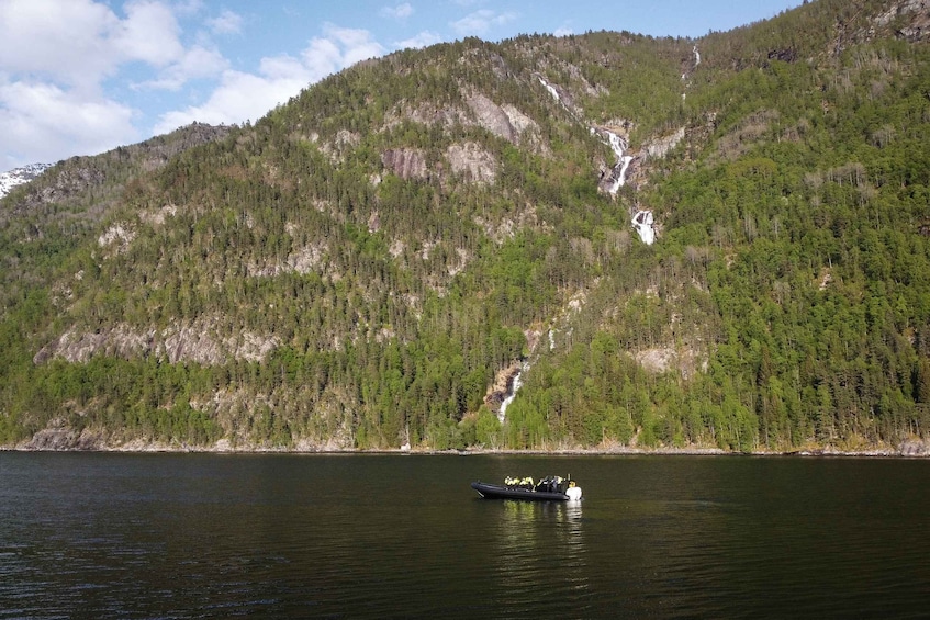 Picture 10 for Activity Ulvik: Hardangerfjord and Osafjord RIB Tour