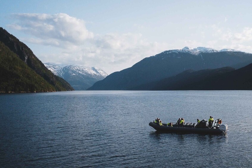 Ulvik: Hardangerfjord and Osafjord RIB Tour