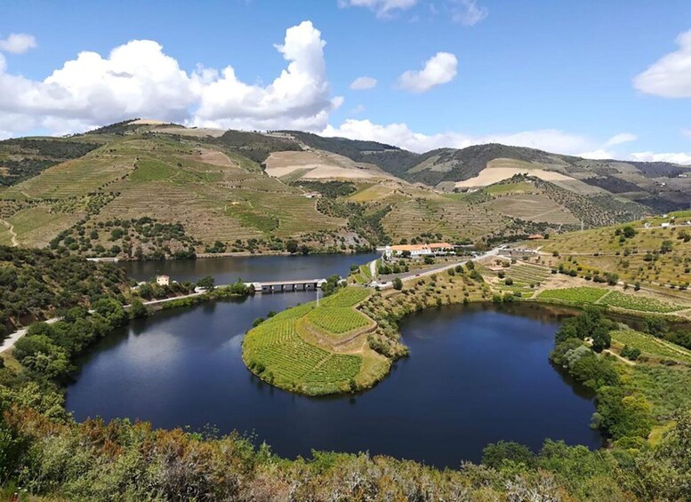 Picture 2 for Activity Private Douro