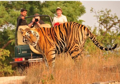 From Delhi: 6-Day Golden Triangle Tour with Ranthambore