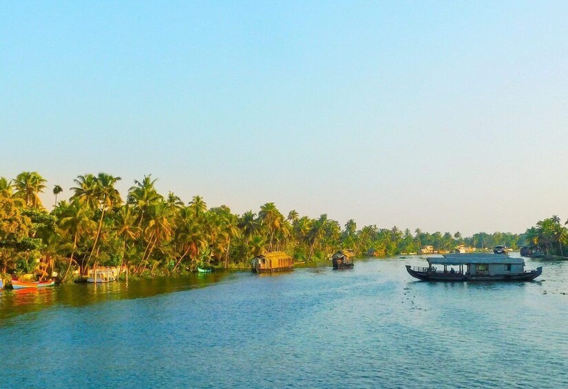 Picture 8 for Activity From Cochin: 8 Day Kerala Tour Package with Houseboat Stay