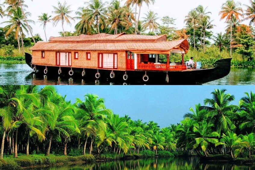 Picture 5 for Activity From Cochin: 8 Days Kerala Tour Package with Houseboat Stay
