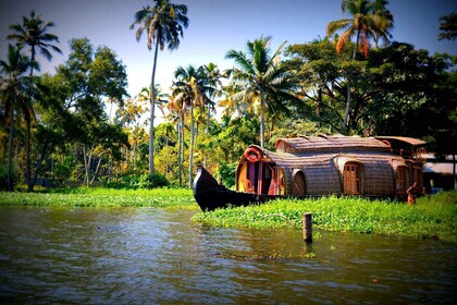 Vanuit Cochin: 8-daagse rondreis door Kerala met verblijf in een woonboot