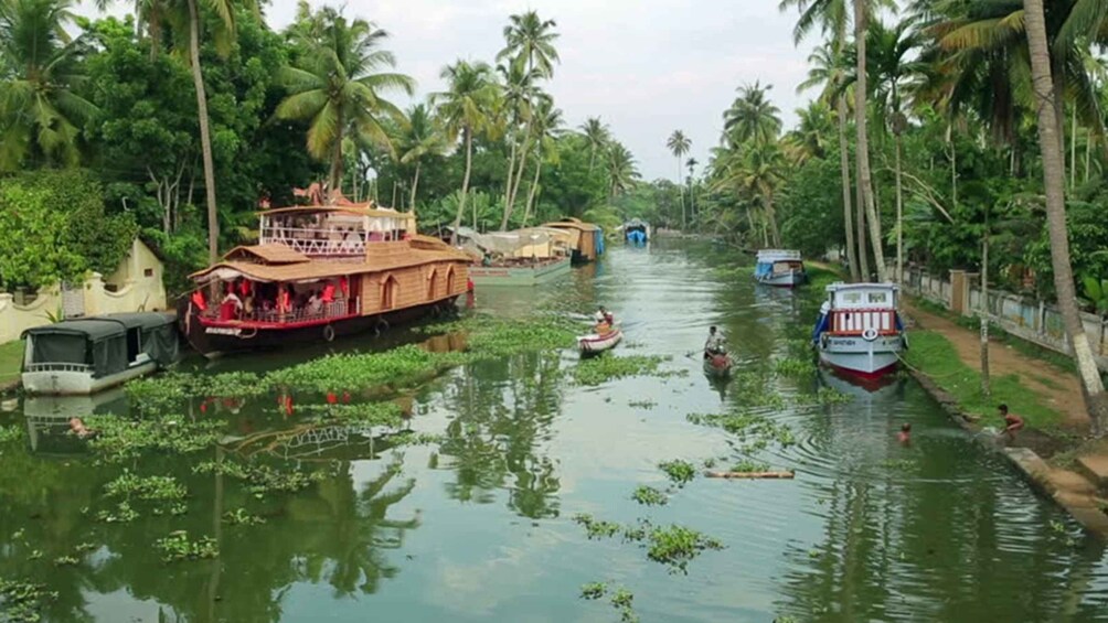 Picture 1 for Activity From Cochin: 8 Day Kerala Tour Package with Houseboat Stay