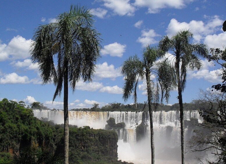 Picture 12 for Activity Iguazu Falls: one-day tour on the Argentine side