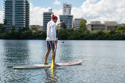 Condado: Paddleboard Rental