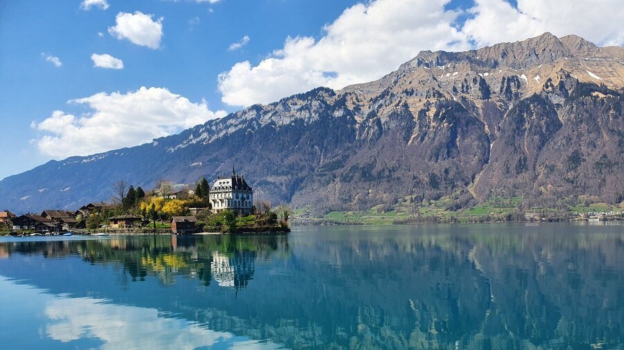 From Zurich: 8-Day Tour to Geneva with Tickets and Lodging