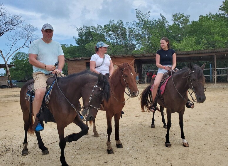 Picture 5 for Activity Roatan: Sloth Park, Horseback Ride & Glass Bottom Boat Tour