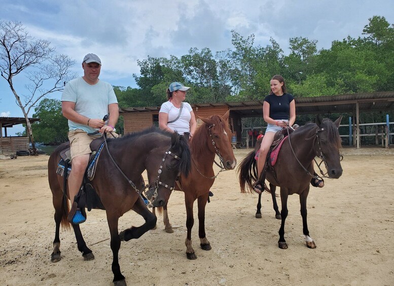 Picture 5 for Activity Roatan: Sloth Park, Horseback Ride & Glass Bottom Boat Tour