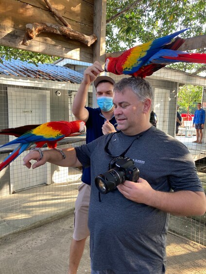 Picture 4 for Activity Roatan: Sloth Park, Horseback Ride & Glass Bottom Boat Tour