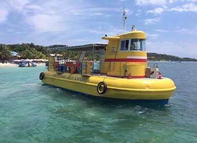 Roatan: Faultierpark, Ausritt & Glasbodenboot-Tour